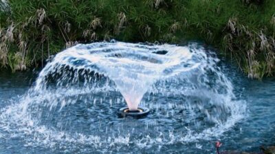 Süs Havuzu Yapan Firmalar